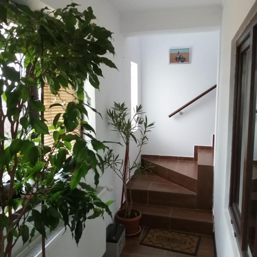 Villa 38 Silviu Apartment Bükreş Dış mekan fotoğraf